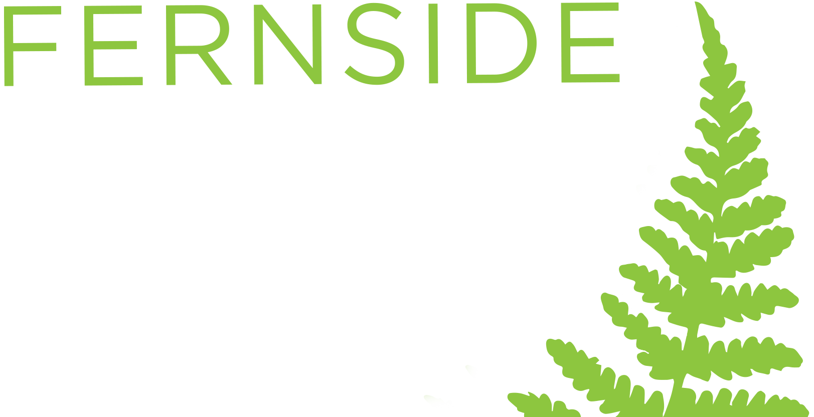 Fernside Fresh Milk